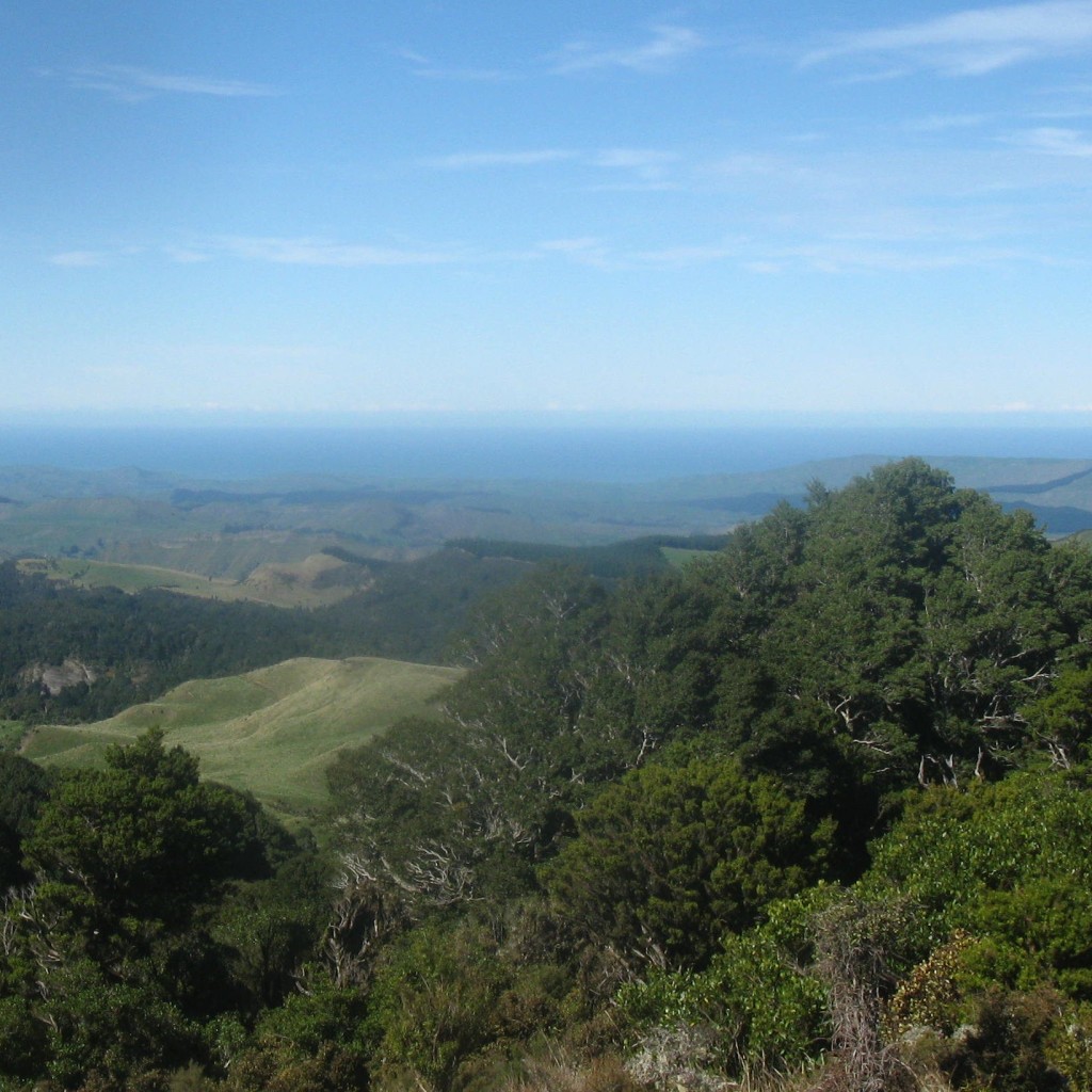 Kaiwhakahaere Taiao Position