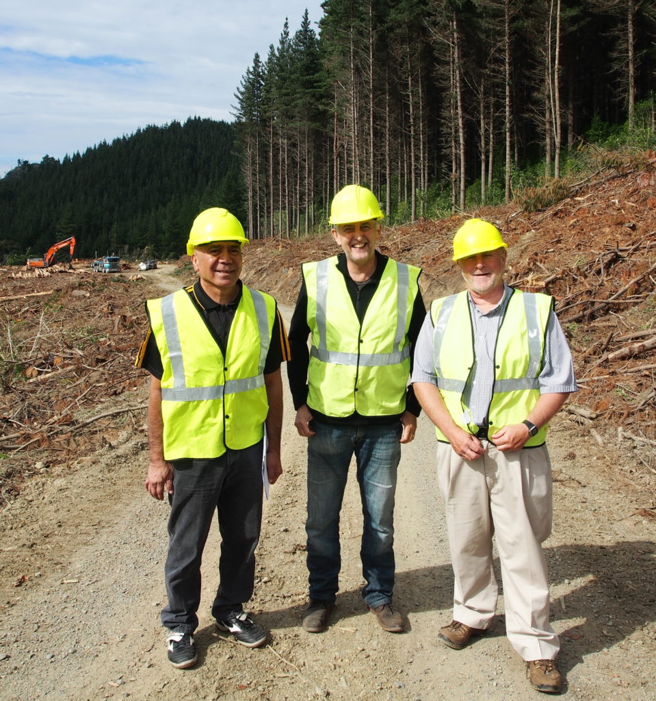 Forestry scholarships for future workers, managers, scientists and marketers - pātai mai!