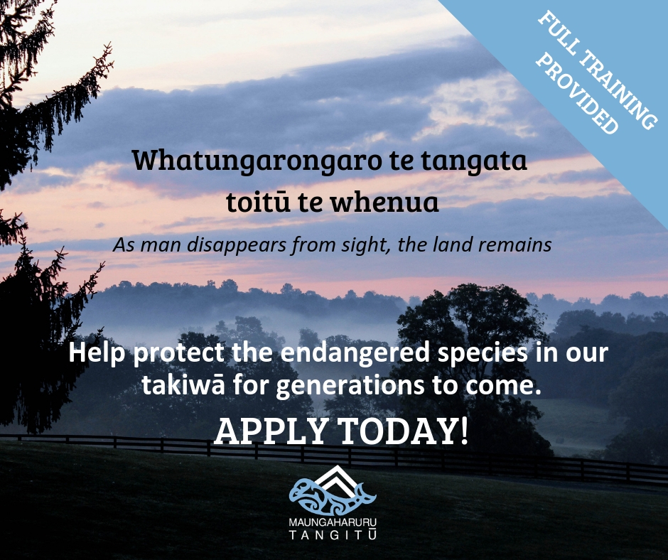 What is it like to work in our takiwā? Find out for yourself and apply for the Tauira Mahi Predator Control Assistant role