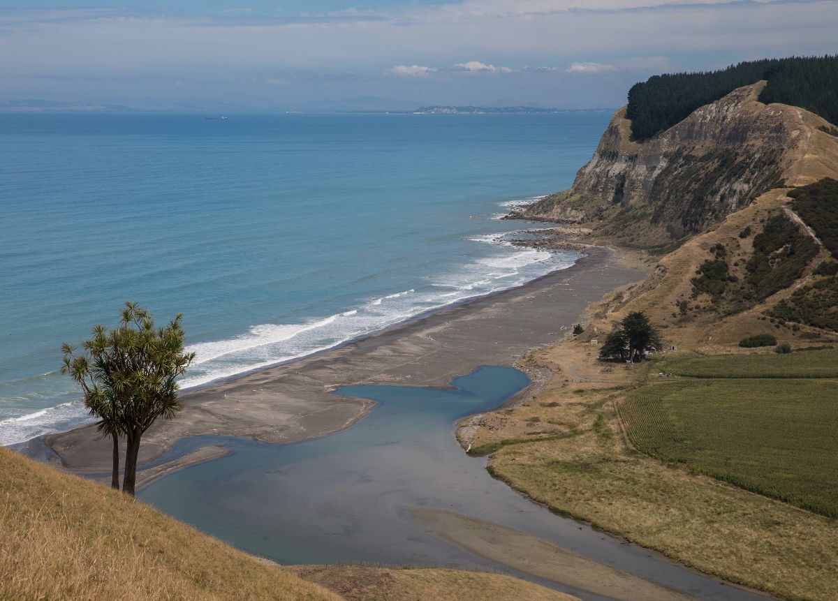 Takutai Moana application hearing begins MaungaharuruTangitu Trust