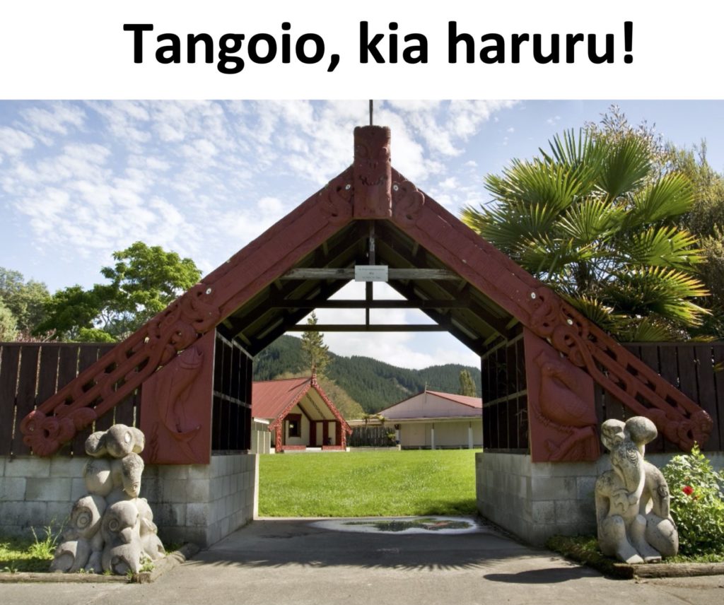 Register now for our Wānanga Reo!