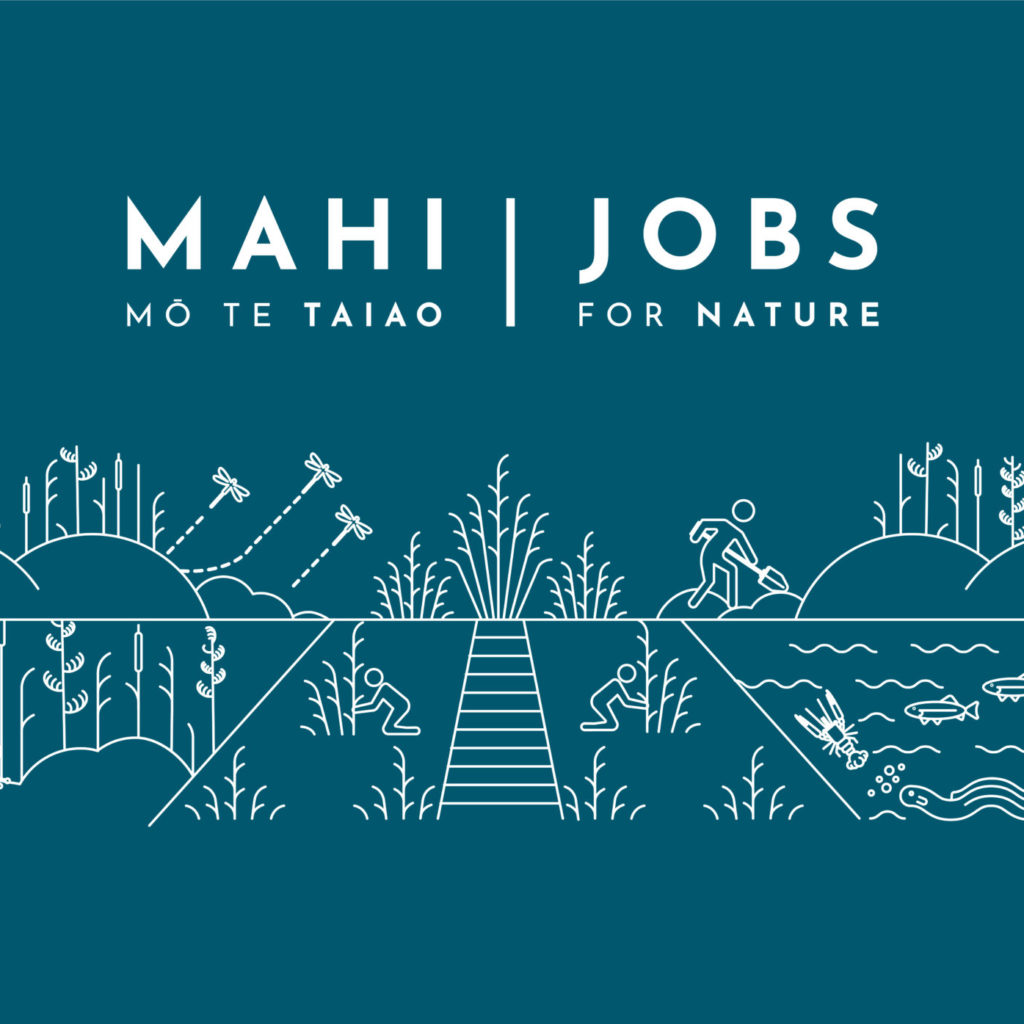 Kaimahi for Nature - our project funded!